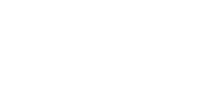Vega Partners